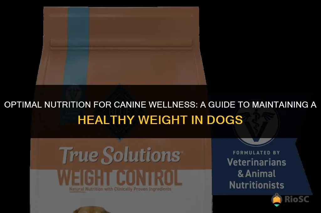 best dog food for healthy weight