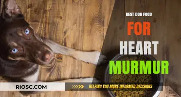 Nutritious Dog Food Options to Support Canines with Heart Murmurs