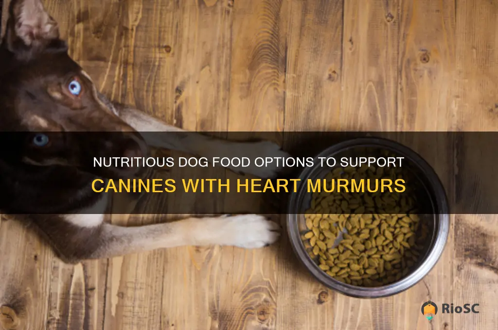 best dog food for heart murmur
