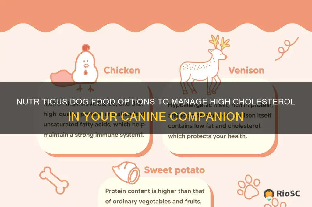 best dog food for high cholesterol