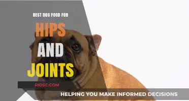 Nourish and Support: Top Dog Foods for Healthy Hips and Joints