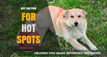 Top Picks for Soothing Hot Spots: The Best Dog Food for Skin Health