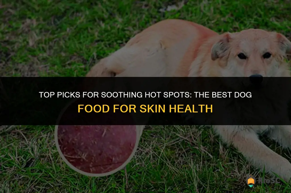 best dog food for hot spots