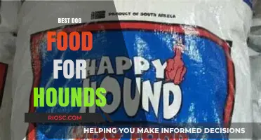 Top Nutrition Picks: Hound-Friendly Dog Food Options