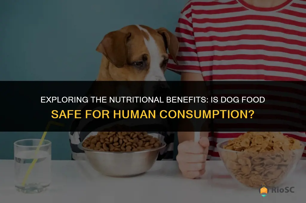 best dog food for humans to eat