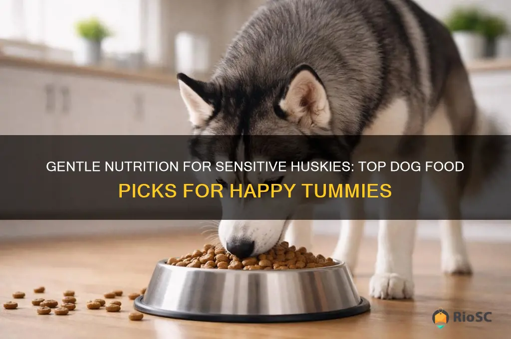 best dog food for huskies with sensitive stomach