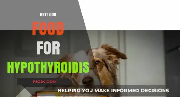 Nutritious Dog Food Options to Support Canines with Hypothyroidism