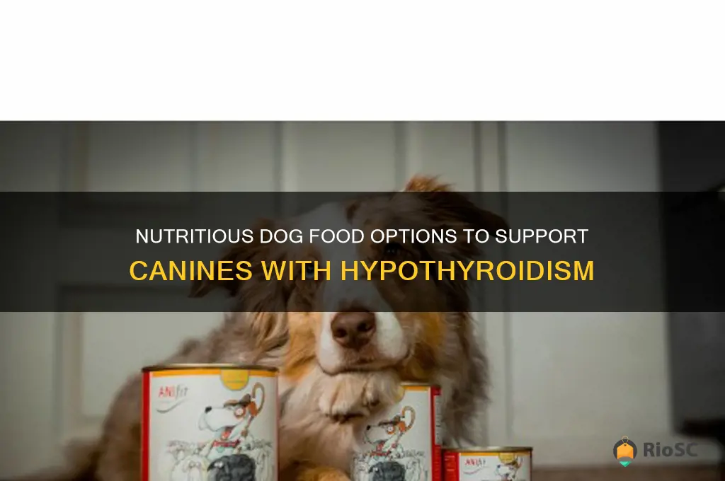 best dog food for hypothyroidism