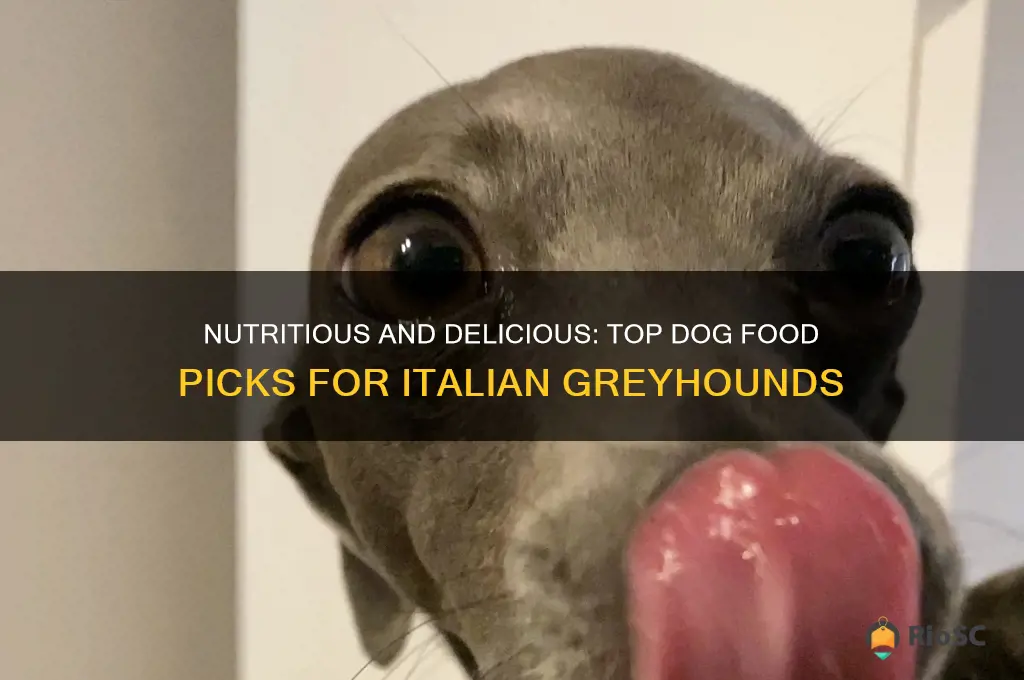 best dog food for italian greyhounds