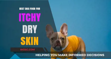 Soothing Solutions: Top Dog Foods to Relieve Itchy, Dry Skin