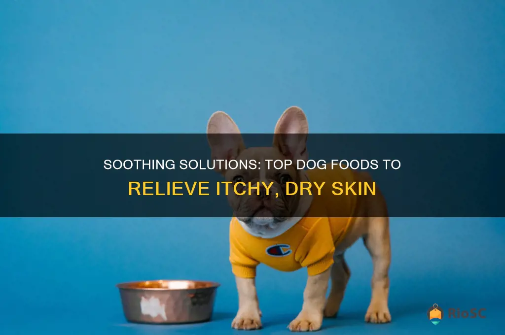 best dog food for itchy dry skin