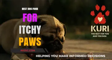 Soothing Solutions: Top Dog Foods to Relieve Itchy Paws and Promote Healthy Skin