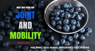 Top Dog Food Picks to Support Joint Health and Mobility for Active Dogs