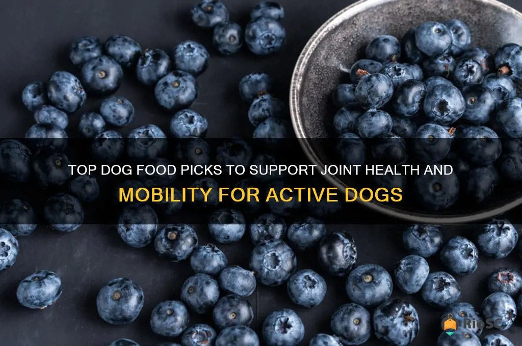 best dog food for joint and mobility