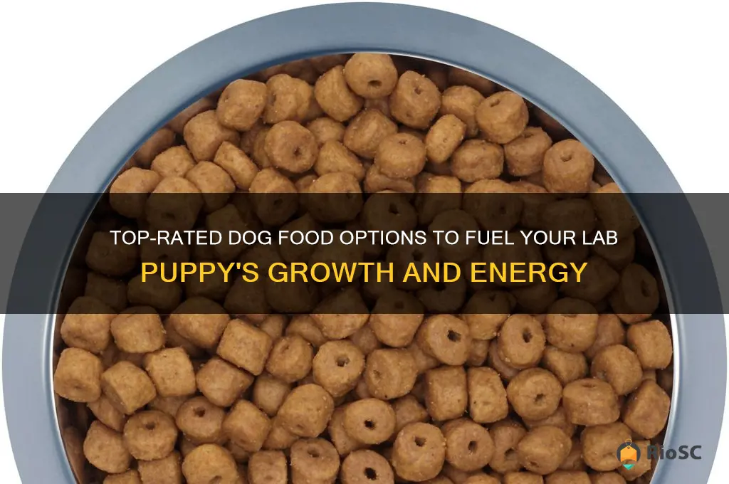 best dog food for lab puppy