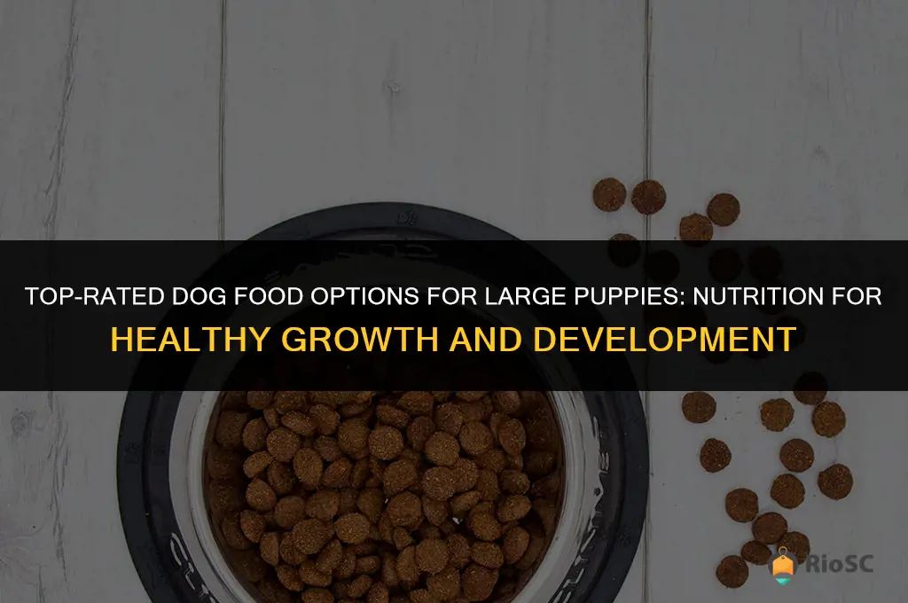 best dog food for large puppies