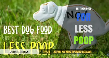 Top Dog Food Choices to Reduce Poop Volume and Keep Your Home Cleaner