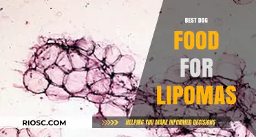 Nutrition Matters: Top Dog Food Choices to Manage and Prevent Lipomas in Your Canine Companion