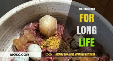 Nourish for Years: Top Dog Foods to Promote a Long and Healthy Life