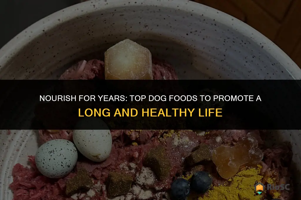 best dog food for long life