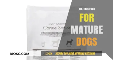 Nourishing Your Senior Companion: Top Dog Food Picks for Mature Dogs
