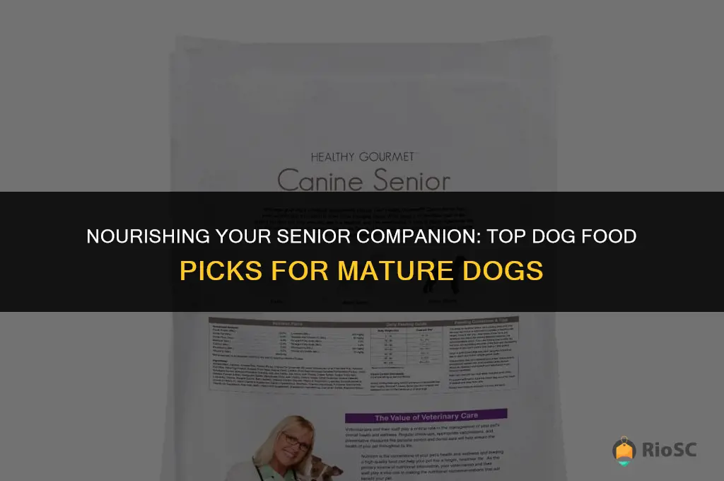 best dog food for mature dogs