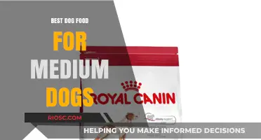 Nutrition for Your Medium-Sized Companion: Top Dog Food Picks