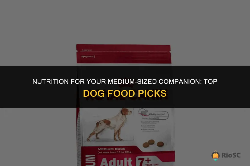 best dog food for medium dogs