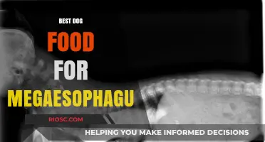 Top Nutritional Choices for Dogs with Megaesophagus: A Comprehensive Guide to the Best Dog Foods