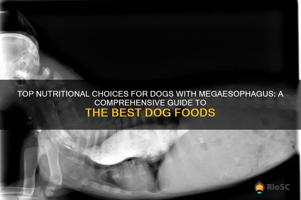 best dog food for megaesophagus