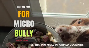 Top Nutritional Choices: Best Dog Food for Micro Bullies to Thrive