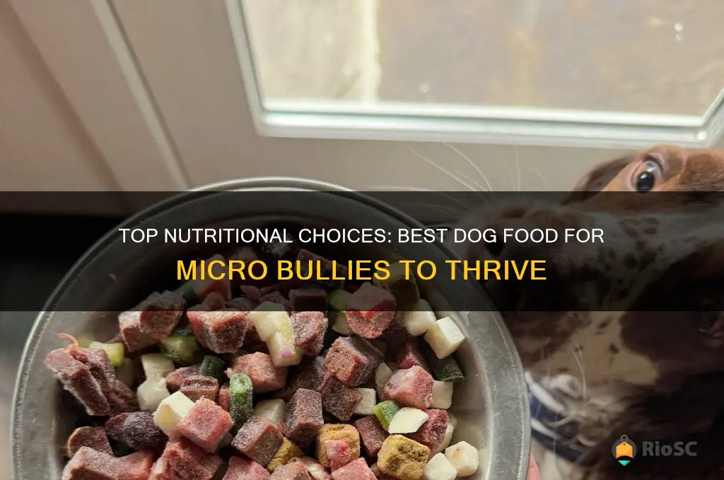 best dog food for micro bully