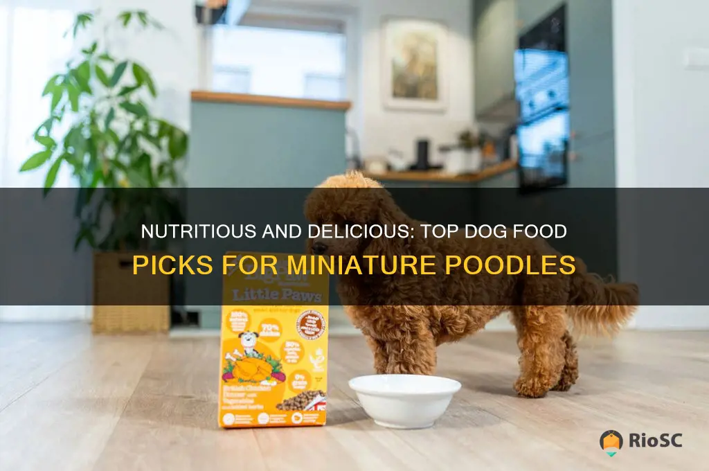 best dog food for miniature poodles