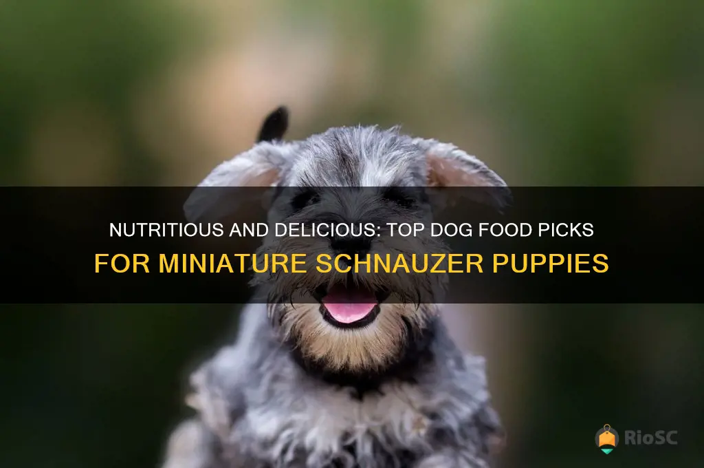 best dog food for miniature schnauzer puppies