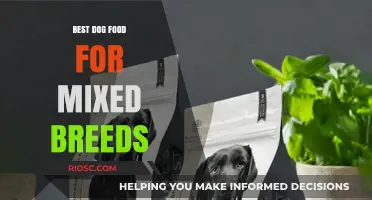 Top Nutritional Picks: Best Dog Food for Mixed Breeds to Support Health and Vitality