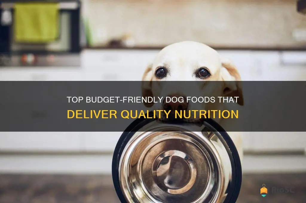 best dog food for money