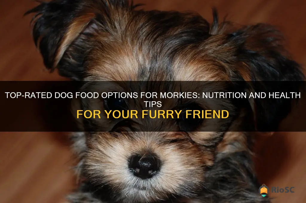 best dog food for morkies