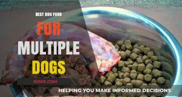Nutrition for Your Pack: Finding the Best Dog Food for Multiple Dogs