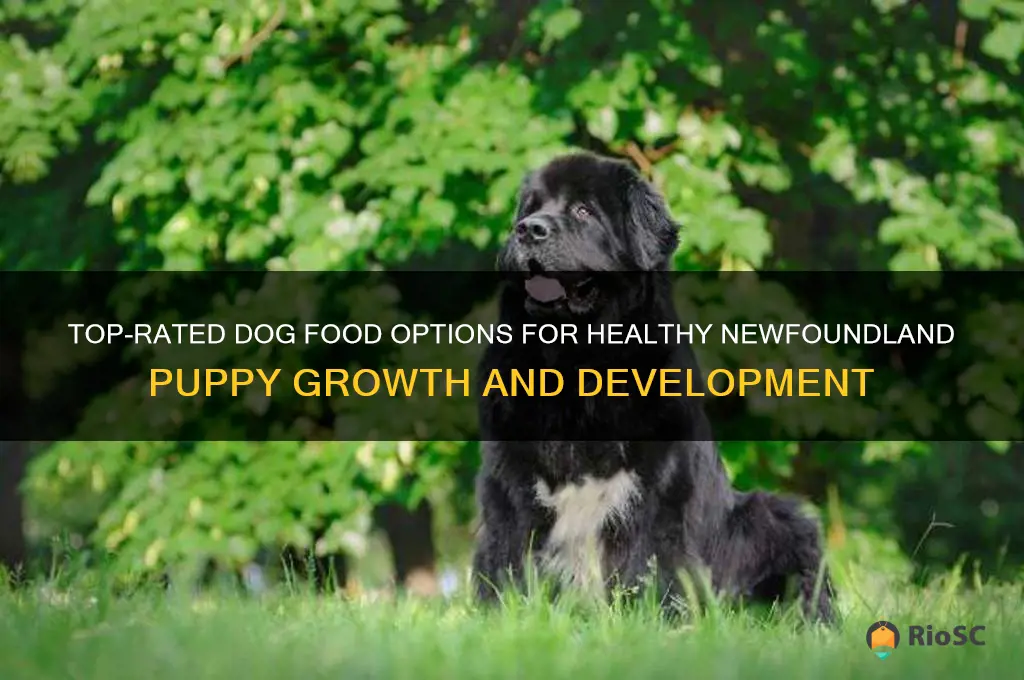 best dog food for newfoundland puppy