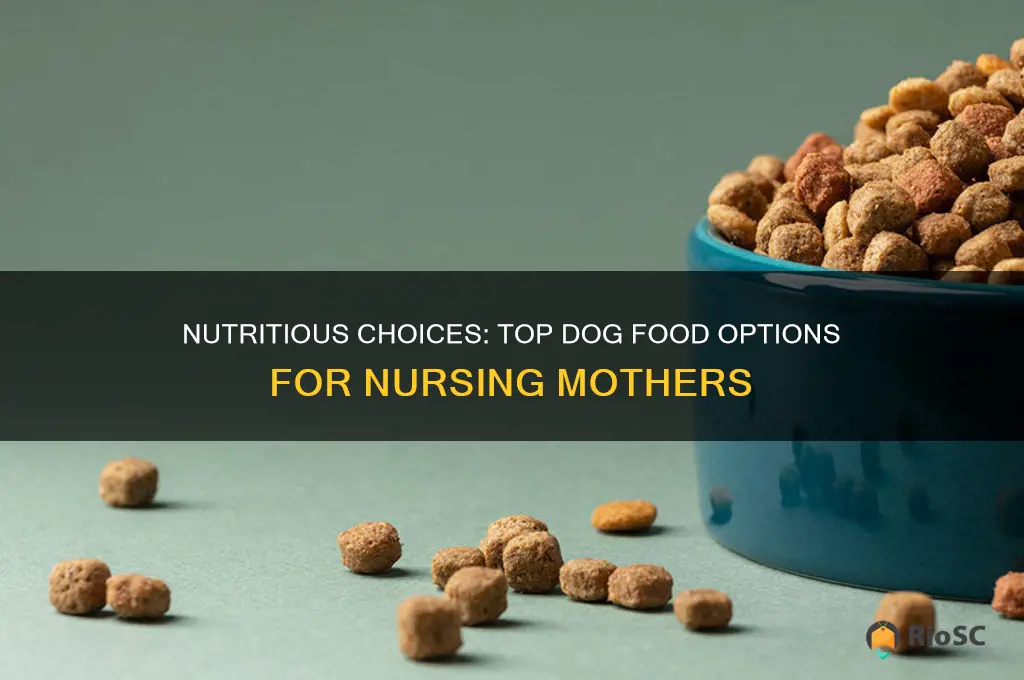 best dog food for nursing dogs