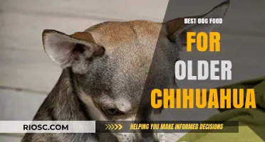 Nutritious and Gentle: Top Dog Food Choices for Aging Chihuahuas