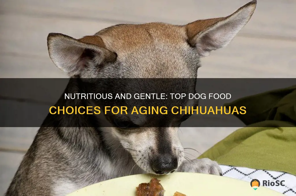 best dog food for older chihuahua