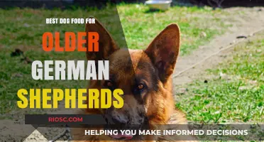 Nutritious and Nourishing: Top Dog Food Choices for Aging German Shepherds