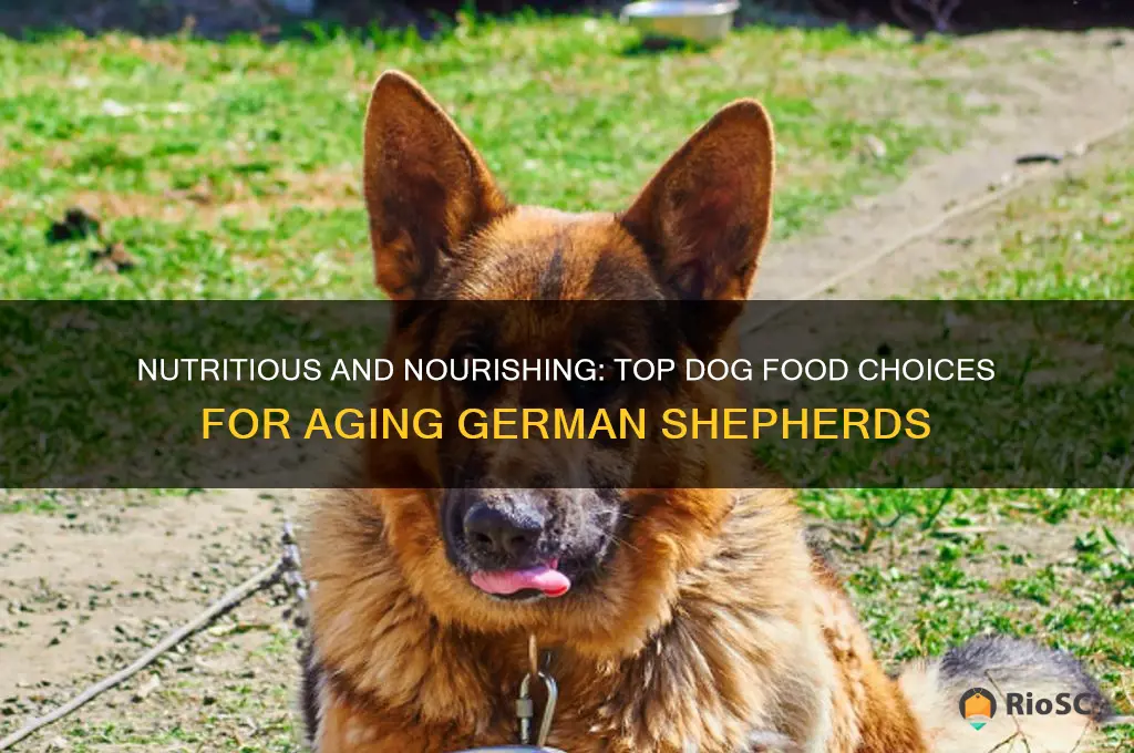 best dog food for older german shepherds