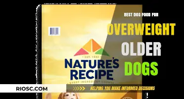 Nutritious and Light: Top Dog Food Choices for Overweight Senior Dogs