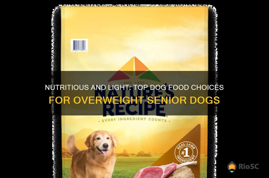 best dog food for overweight older dogs