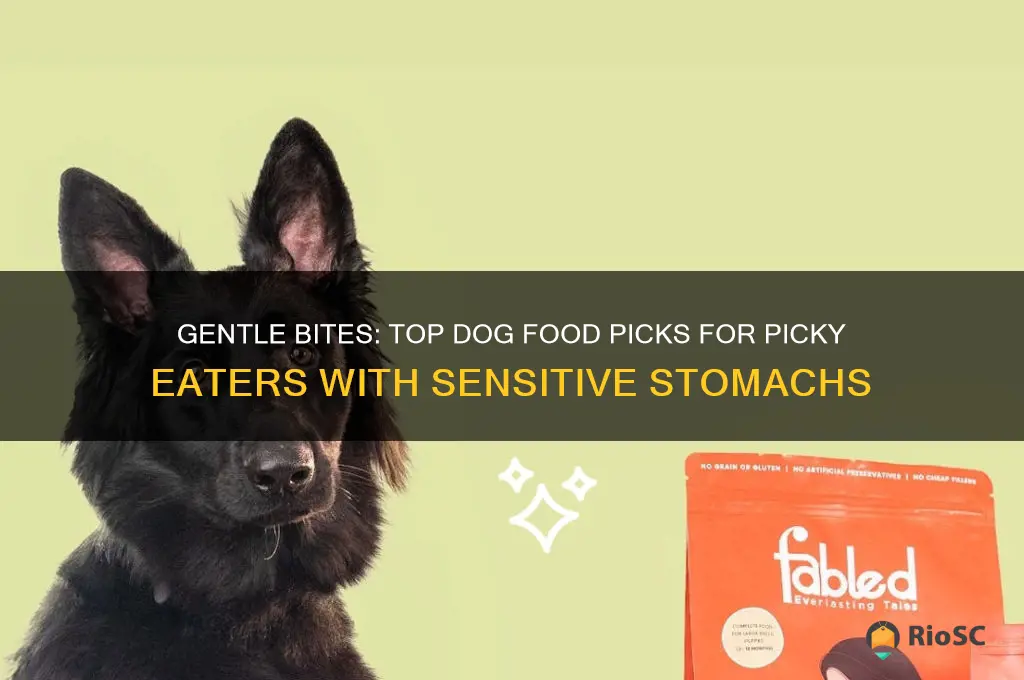 best dog food for picky eaters with sensitive stomach