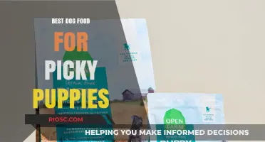 Top Picks for Picky Puppies: Nutritious and Delicious Dog Food Options to Satisfy Even the Fussiest Eaters