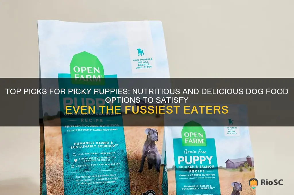 best dog food for picky puppies
