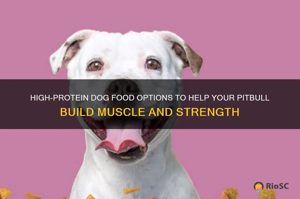 best dog food for pitbull to gain muscle